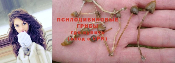 прущий лед Бежецк