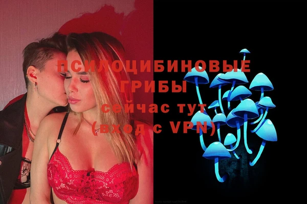 винт Наволоки