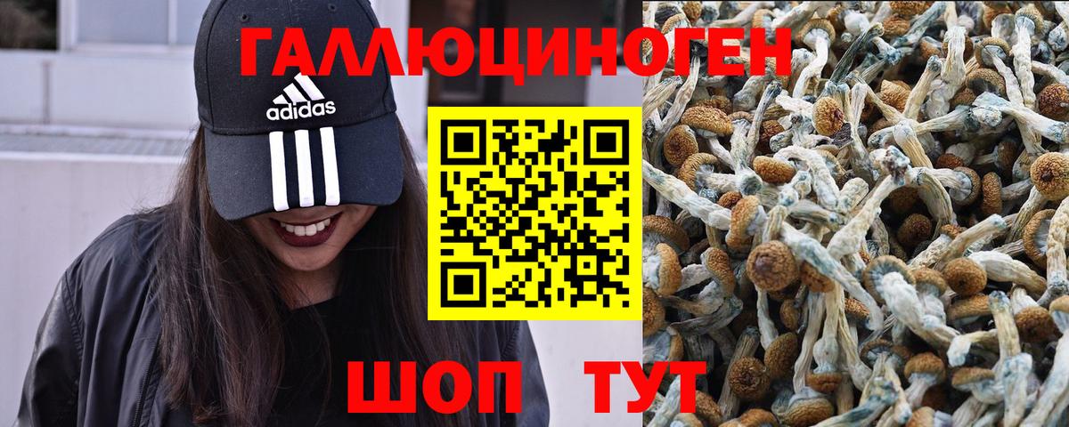 Галлюциногенные грибы мухоморы Североморск