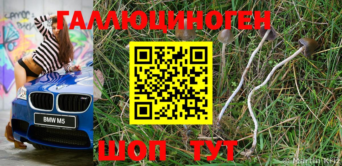 ГАШИШ  Продажа наркотиков  Кокаин  Метадон  АМФ   COCAIN  Codein  Североморск  Мефедрон   Меф   Альфа ПВП СК  