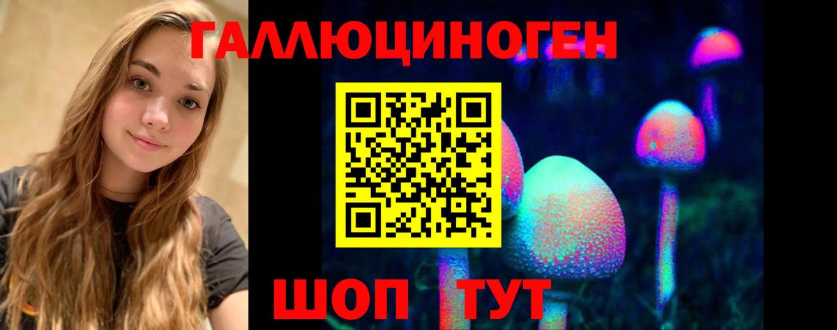 Псилоцибиновые грибы Psilocybine cubensis  Вход с VPN  Североморск  Галлюциногенные грибы Cubensis 