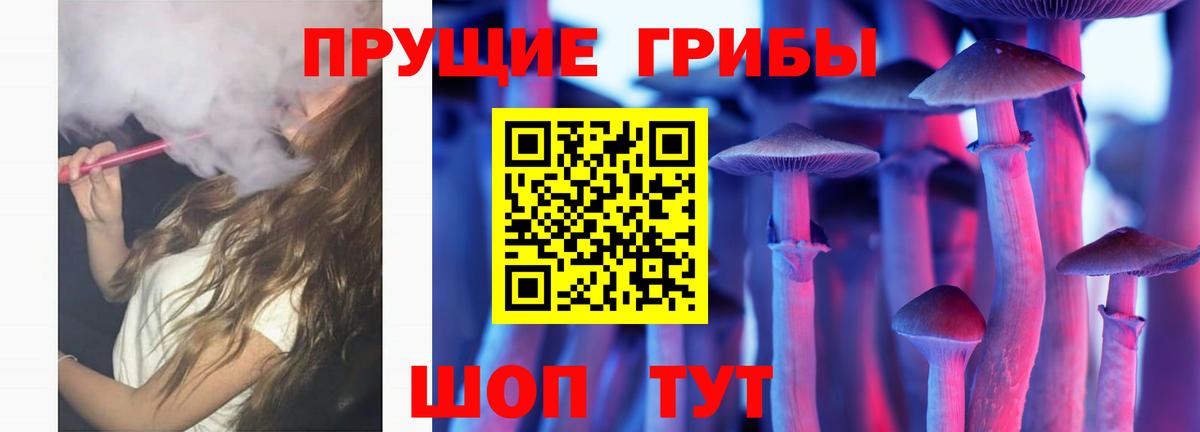 Псилоцибиновые грибы мицелий  Псилоцибиновые грибы Psilocybe  закладки  Североморск 